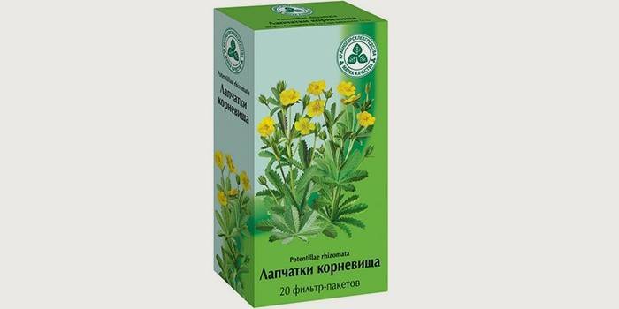 Husí cinquefoil na liečbu kolpitídy u žien