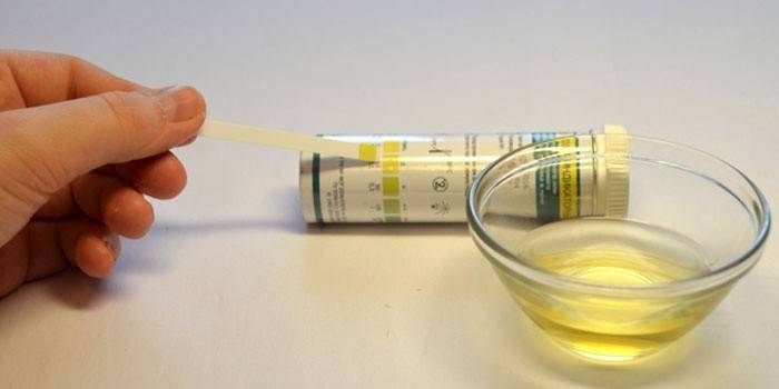 Contagens de proteína urinária normal