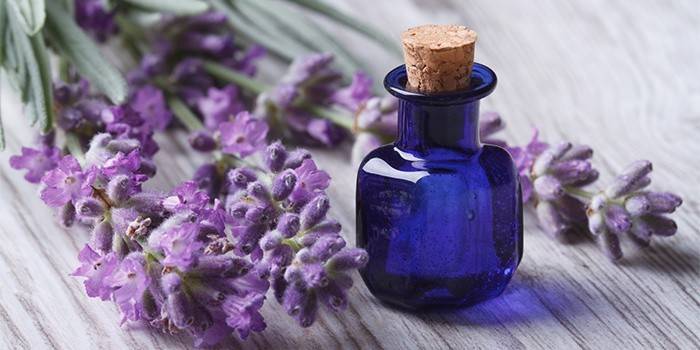 Extracto de lavanda