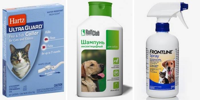 Suministros para mascotas