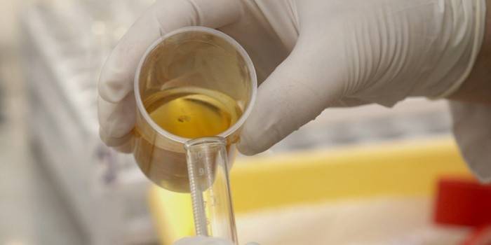 Laboratórny technik študuje moč