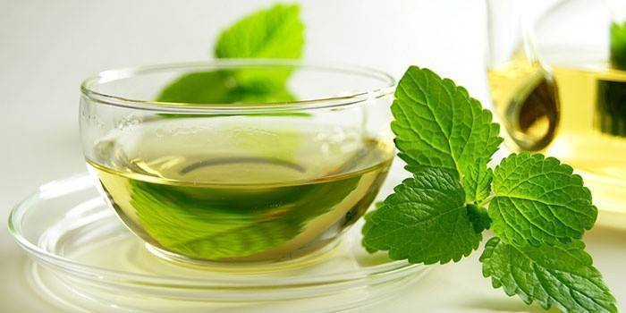 Bebida de menta