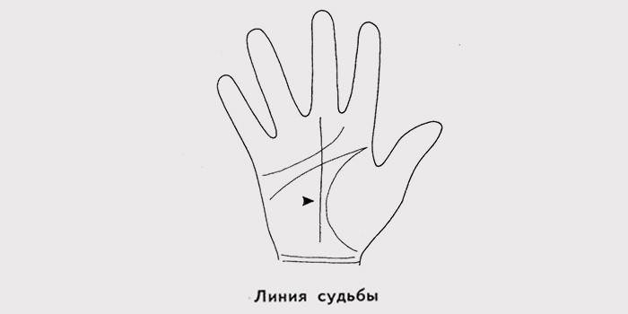 Linia losu na ręce