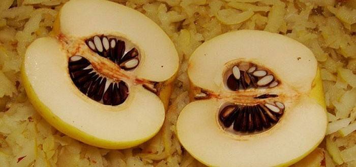 Sementes de frutas maduras tratam de bronquite