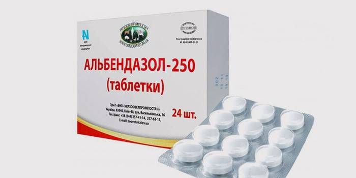 Albendazol od robaków u ludzi
