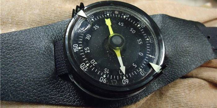 Modelo de brújula militar