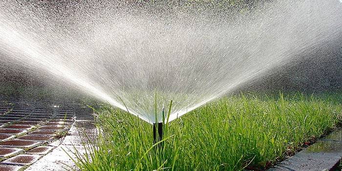 Aspersor de ventilador para o jardim