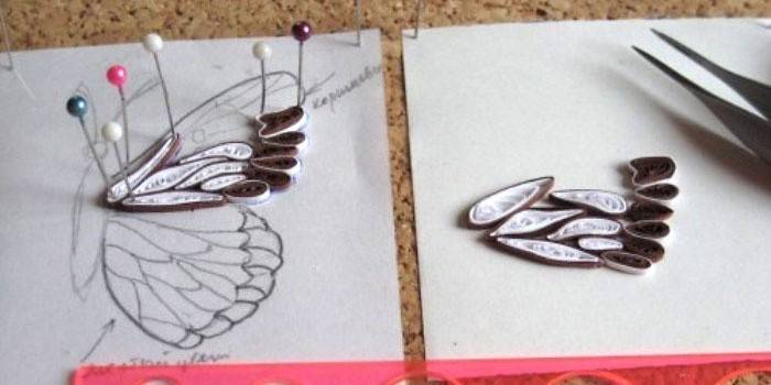 Quilling wzór motyla