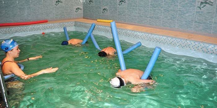 Las setas prefieren un ambiente húmedo ligeramente alcalino o neutro.