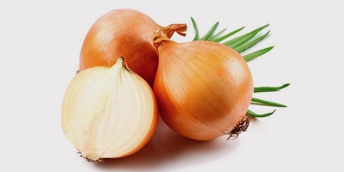 Cebula w leczeniu zapalenia ucha środkowego