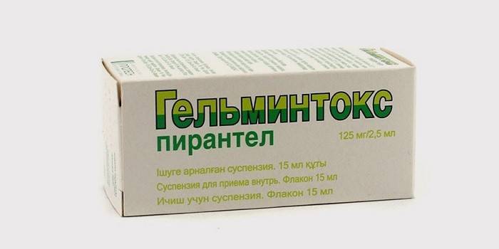 Droga Helminthox