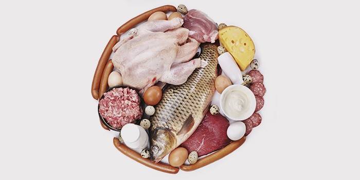 Produtos Dietéticos de Proteína Materna