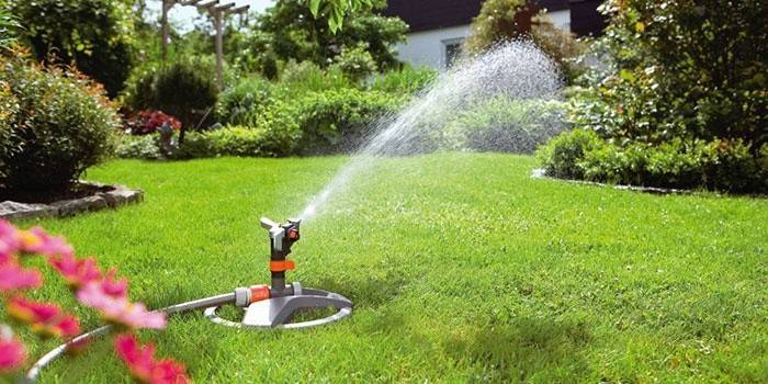 Sprinkler De Impulso