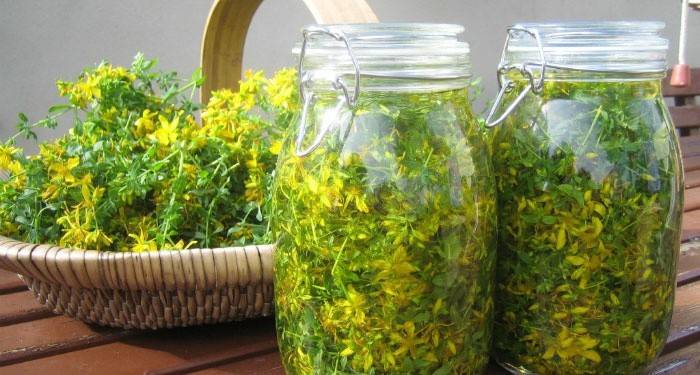 Infuzja Hypericum