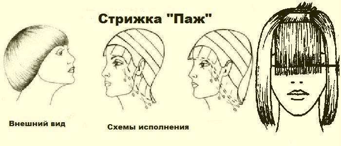 Page Hairdressing Technique
