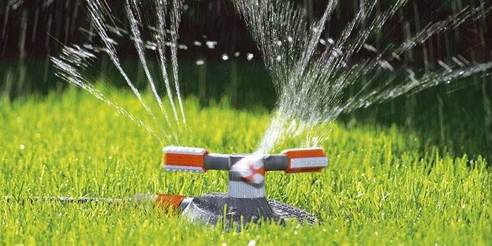 Seleção de sprinkler