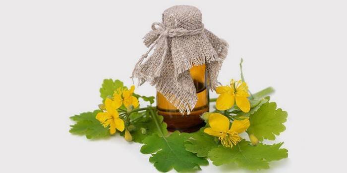 Suco de celandine para o tratamento de adenóides sem cirurgia
