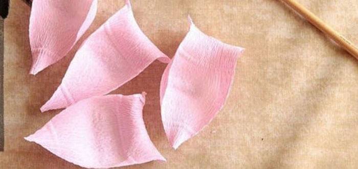 Preparando pétalos de rosa