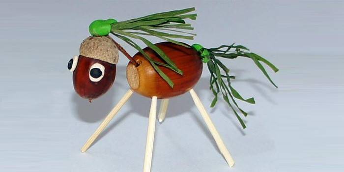DIY żołądź konia