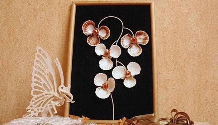 Shell kwiaty orchidei