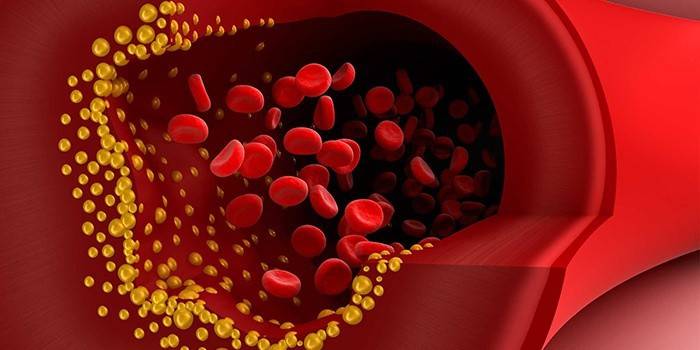 Células de la sangre