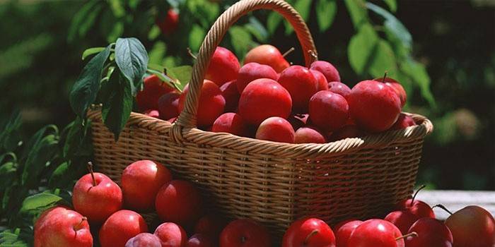 Ameixa de cereja para vinificação