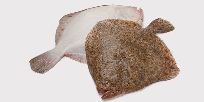 Peixe linguado