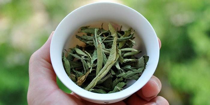 O uso de stevia na medicina
