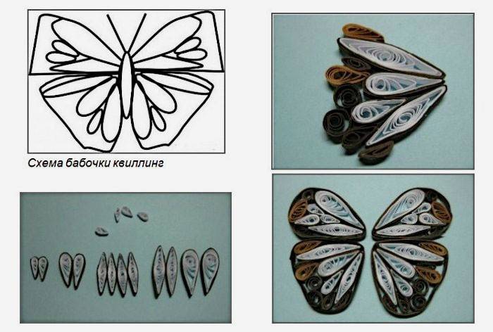 Wzór motyla quilling