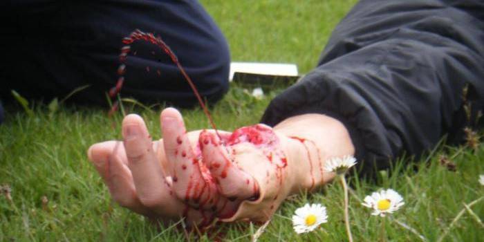 Sangue escarlate da mão