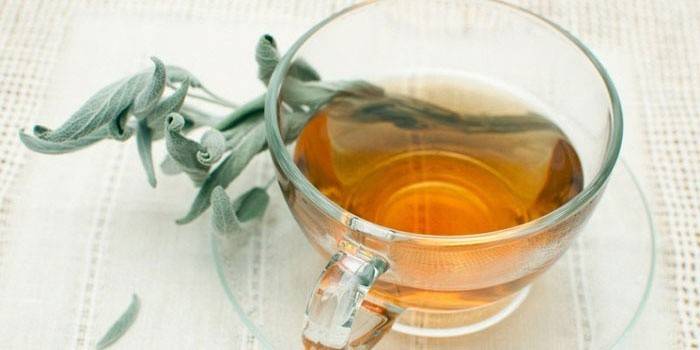 Infusão de salva para parar a lactação
