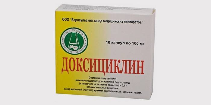 Doksycyklina do leczenia chlamydii u kotów