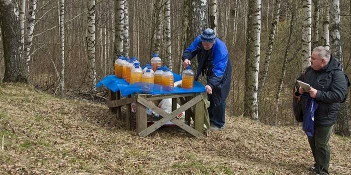 Kvass Receita