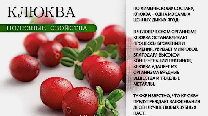 Jakie są owoce bogatych żurawi?