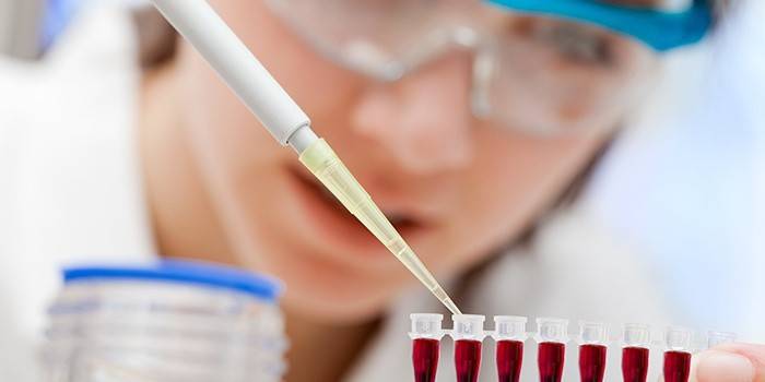 Técnico de laboratorio examina pruebas