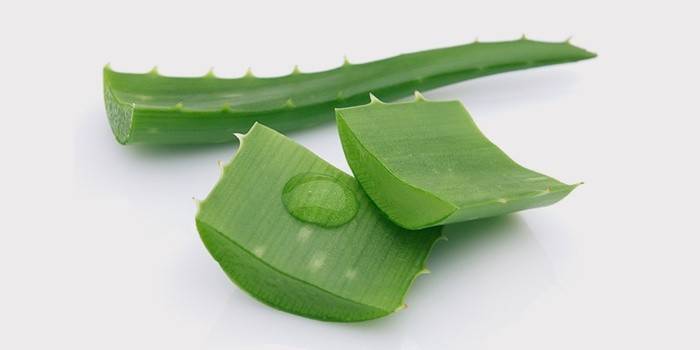 Aloe listy