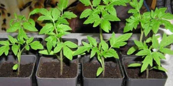 Crecimiento verde