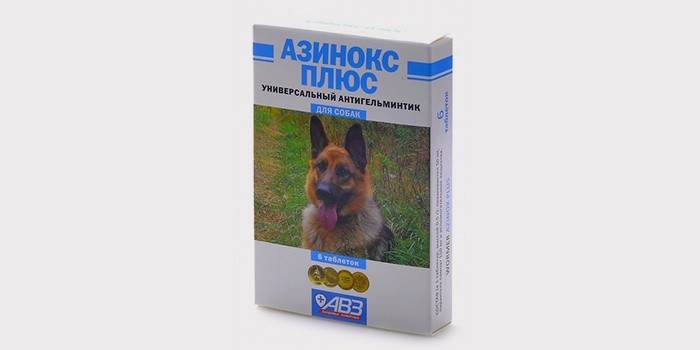 Comprimidos do verme do cão - Asinox