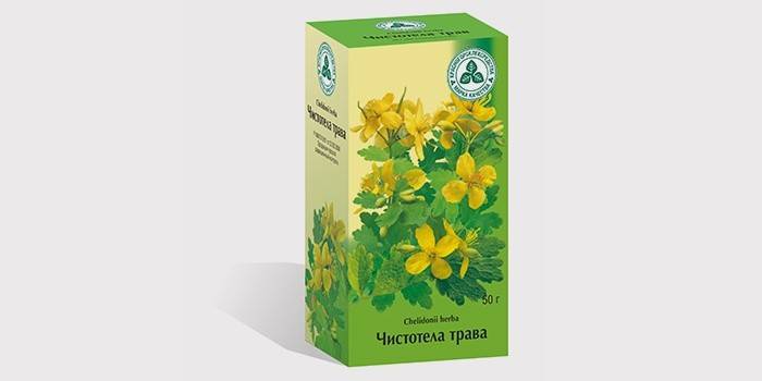 Celandine para o tratamento de miomas uterinos