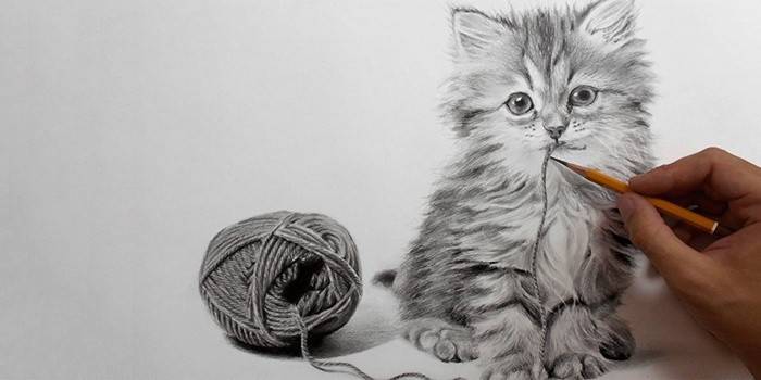 Lápis de desenho de um gato