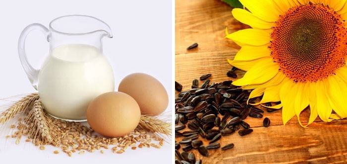 Alimentos ricos em tocoferol
