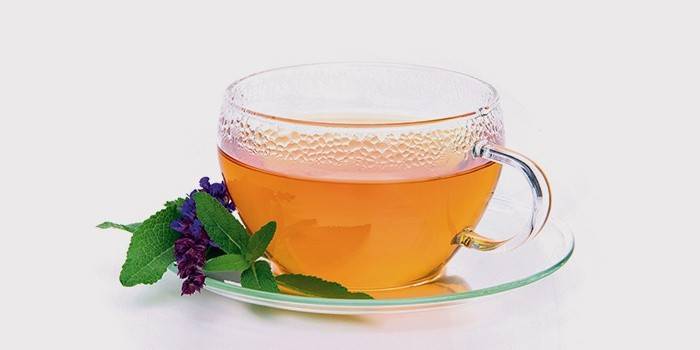 Infusão de sálvia