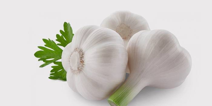 Bulbos de ajo