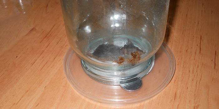 Ratoeira de uma lata