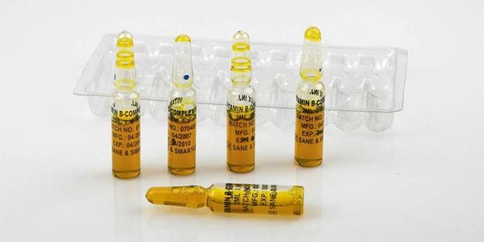 Vitaminas B6 e B12