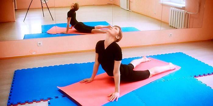 Ginástica para as costas
