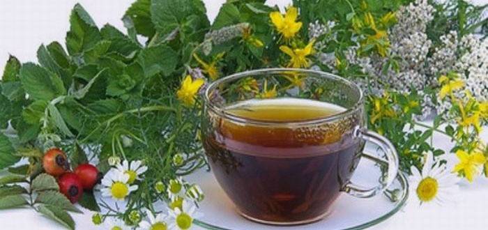Na véspera do ultra-som, recomenda-se beber infusões de ervas