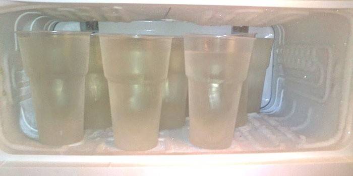 Armazenamento Freezer