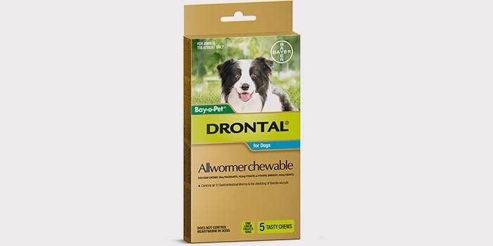 Bom Worm Pills para cães - Drontal