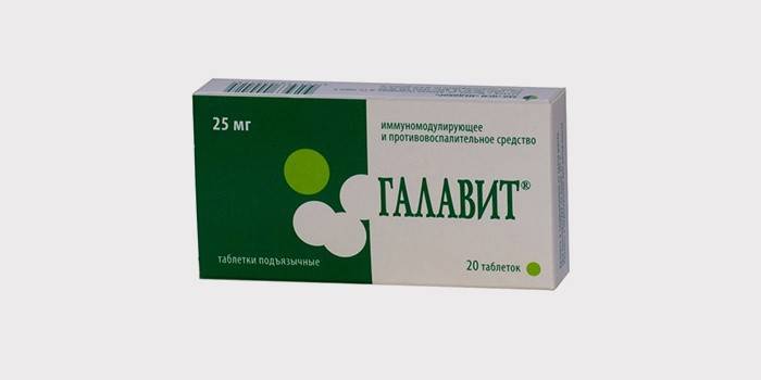 Imunomodulador para estomatite - Galavit